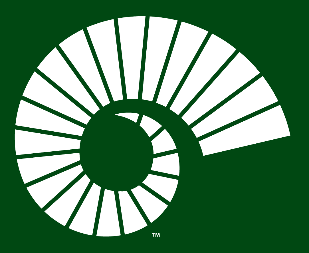 Colorado State Rams 2015-Pres Alternate Logo v3 iron on transfers for T-shirts